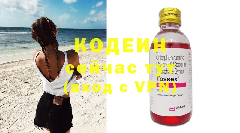 где купить наркоту  Пошехонье  Кодеин Purple Drank 